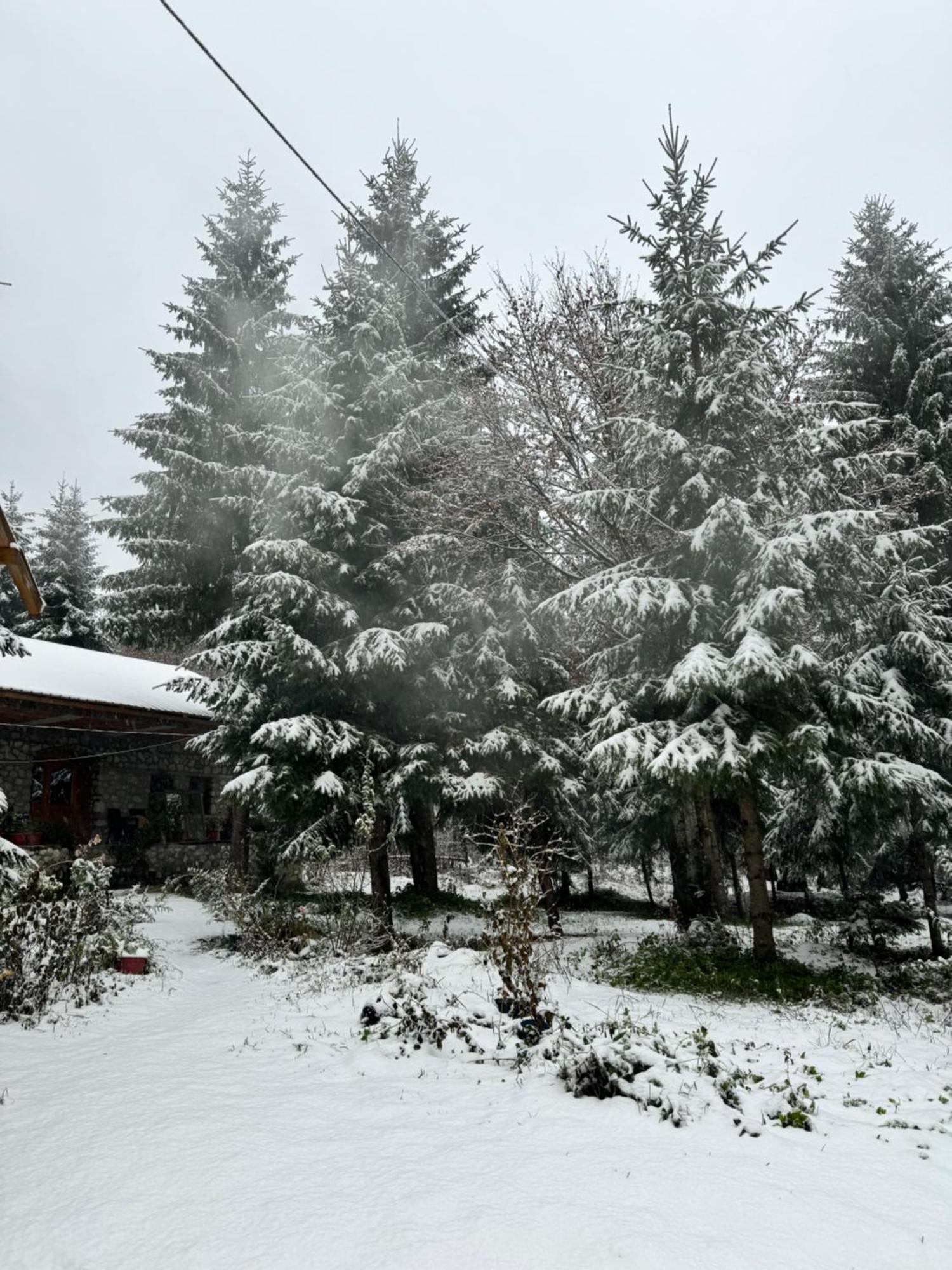 Guest House Hyrmet Demushi Valbone Exterior foto